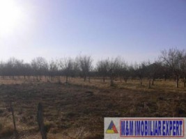 teren-intravilan-de-4541-mp-cu-deschidere-la-drum-asfaltat-si-utilitati-disponibile-ideal-pentru-constructii-rezidentiale-sau-comerciale-situat-in-valea-mare-pravat-arges-5