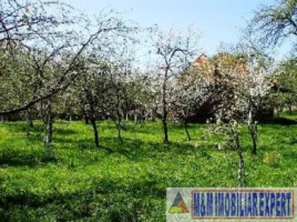 casa-6-camere-teren-2-ha-de-vanzare-in-boteni-arges-10