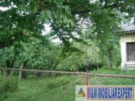 teren-intravilan-5000-mp-de-vanzare-in-valea-barbusii-campulung-muscel-arges-ideal-pentru-dezvoltari-rezidentiale-1