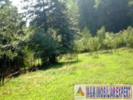 teren-intravilan-de-vanzare-2800-mp-in-costesti-arges-2