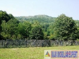 teren-intravilan-de-vanzare-2800-mp-in-costesti-arges-3