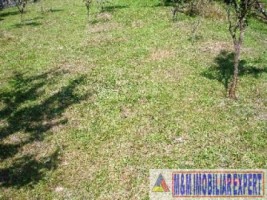 teren-intravilan-de-vanzare-2800-mp-in-costesti-arges-4