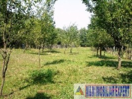teren-intravilan-de-vanzare-2800-mp-in-costesti-arges-6