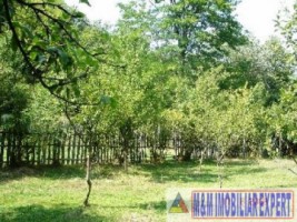teren-intravilan-de-vanzare-2800-mp-in-costesti-arges-7
