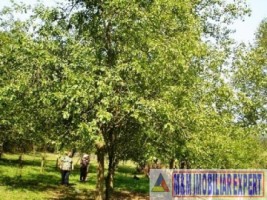 teren-intravilan-de-vanzare-2800-mp-in-costesti-arges-8