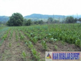 teren-2500-mp-intravilan-campulung-muscel-apa-sarata-arges-3