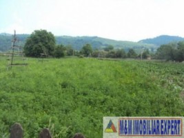 teren-2500-mp-intravilan-campulung-muscel-apa-sarata-arges-4