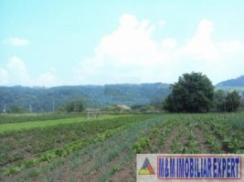 teren-2500-mp-intravilan-campulung-muscel-apa-sarata-arges-6