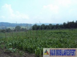 teren-2500-mp-intravilan-campulung-muscel-apa-sarata-arges-8