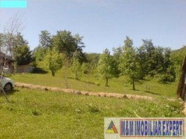 teren-1200-mp-intravilan-dambovicioara-ciocanu-arges-1