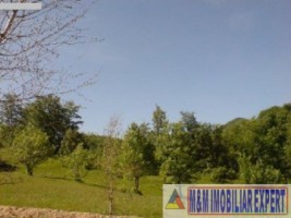 teren-1200-mp-intravilan-dambovicioara-ciocanu-arges-2