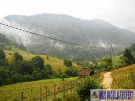 teren-intravilan-1-ha-de-vanzare-in-valea-urdii-dambovicioara-arges-ideal-pentru-proiecte-turistice-si-rezidentiale-7