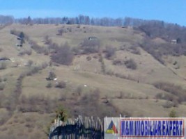 teren-extravilan-266-ha-cu-panorama-in-podul-dambovitei-dambovicioara-arges-ideal-pentru-proiecte-turistice-sau-agricole-2
