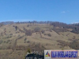 teren-extravilan-266-ha-cu-panorama-in-podul-dambovitei-dambovicioara-arges-ideal-pentru-proiecte-turistice-sau-agricole-3