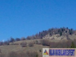 teren-extravilan-266-ha-cu-panorama-in-podul-dambovitei-dambovicioara-arges-ideal-pentru-proiecte-turistice-sau-agricole-5