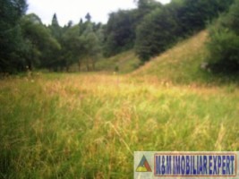 teren-intravilan-6700-mp-de-vanzare-in-valea-cheii-dambovicioara-arges-ideal-pentru-dezvoltari-turistice-si-rezidentiale-5