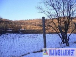 teren-extravilan-5000-mp-de-vanzare-in-hartiesti-arges-ideal-pentru-agricultura-si-investitii-3