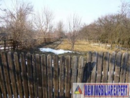 teren-intravilan-2629-mp-domnesti-pietrosani-arges-ideal-pentru-constructii-rezidentiale-5