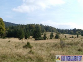 teren-extravilan-253-ha-pasune-alpina-stramtu-leresti-arges-ideal-stana-popas-turistic-1