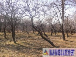 teren-extravilan-de-4-ha-cu-deschidere-la-sosea-ideal-pentru-constructii-comerciale-sau-agricultura-situat-in-valea-mare-pravat-arges-1