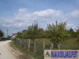 teren-intravilan-de-2500-mp-in-stoenesti-piatra-ideal-pentru-constructii-rezidentiale-6