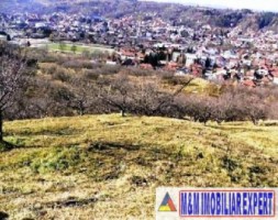 teren-1250-mp-intravilan-campulung-3