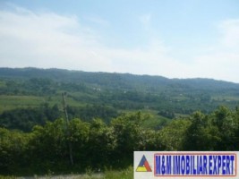 teren-1250-mp-intravilan-campulung-4