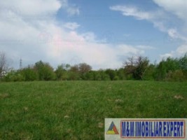 teren-intravilan-de-vanzare-5867-mp-pe-calea-pietroasa-campulung-muscel-arges