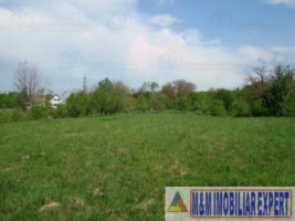 teren-intravilan-de-vanzare-5867-mp-pe-calea-pietroasa-campulung-muscel-arges-1