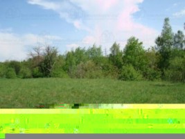 teren-intravilan-de-vanzare-5867-mp-pe-calea-pietroasa-campulung-muscel-arges-2