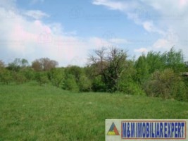 teren-intravilan-de-vanzare-5867-mp-pe-calea-pietroasa-campulung-muscel-arges-3