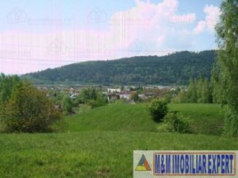 teren-intravilan-de-vanzare-5867-mp-pe-calea-pietroasa-campulung-muscel-arges-4