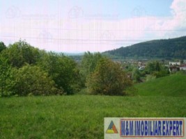 teren-intravilan-de-vanzare-5867-mp-pe-calea-pietroasa-campulung-muscel-arges-5