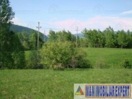 teren-intravilan-de-vanzare-5867-mp-pe-calea-pietroasa-campulung-muscel-arges-6