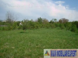 teren-intravilan-de-vanzare-5867-mp-pe-calea-pietroasa-campulung-muscel-arges-7