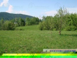 teren-intravilan-de-vanzare-5867-mp-pe-calea-pietroasa-campulung-muscel-arges-8