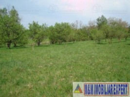 teren-intravilan-de-vanzare-5867-mp-pe-calea-pietroasa-campulung-muscel-arges-9