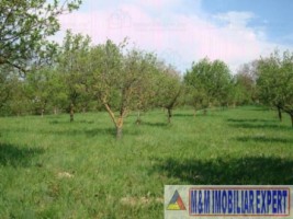 teren-intravilan-de-vanzare-5867-mp-pe-calea-pietroasa-campulung-muscel-arges-10