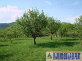 teren-intravilan-de-vanzare-5867-mp-pe-calea-pietroasa-campulung-muscel-arges-11