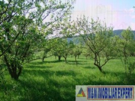 teren-intravilan-de-vanzare-5867-mp-pe-calea-pietroasa-campulung-muscel-arges-12