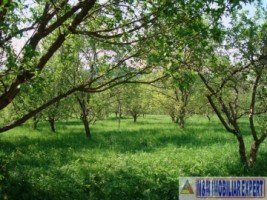 teren-intravilan-de-vanzare-5867-mp-pe-calea-pietroasa-campulung-muscel-arges-15