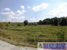 teren-extravilan-2800-mp-in-cretisoara-campulung-muscel-arges-5