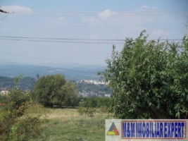 teren-extravilan-2800-mp-in-cretisoara-campulung-muscel-arges-7