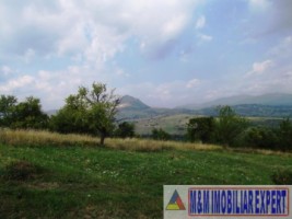 teren-extravilan-2800-mp-in-cretisoara-campulung-muscel-arges-6
