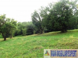 teren-1ha-extravilan-livada-pasune-valea-mare-pravat-4