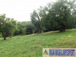 teren-1ha-extravilan-livada-pasune-valea-mare-pravat-5