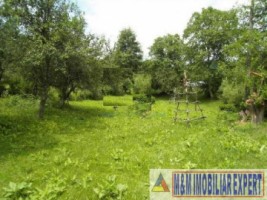 teren-intravilan-2700-mp-nucsoara-arges