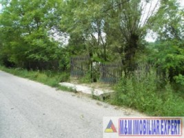 teren-intravilan-2700-mp-nucsoara-arges-1