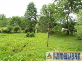teren-intravilan-2700-mp-nucsoara-arges-2