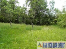 teren-intravilan-2700-mp-nucsoara-arges-3